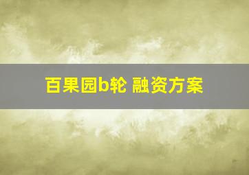 百果园b轮 融资方案